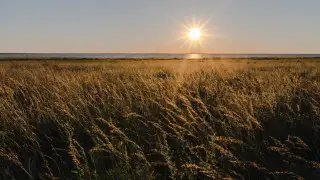 Жаркие дни вернутся: прогноз погоды на июль уточнили синоптики