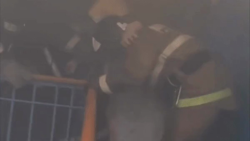 Кадры из видео