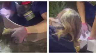 Котенка вытащили из колодца спасатели в Усть-Каменогорске