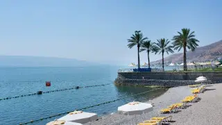 В Израиле умер 26-летний мужчина, заразившись на пляже "пожирающей мозг" амебой