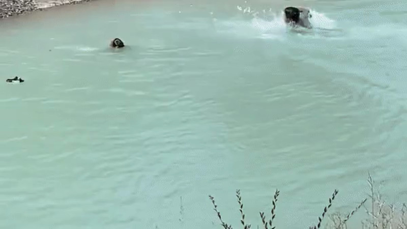 Кадры из видео