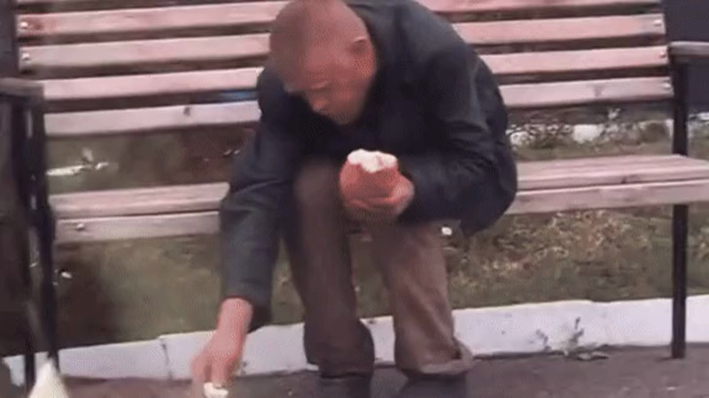 Кадры из видео