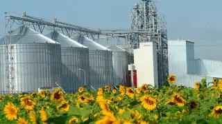 БРК запускает программу на 500 миллиардов тенге  для развития АПК