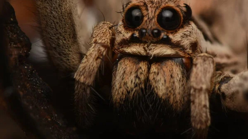 Фото:depositphotos.com