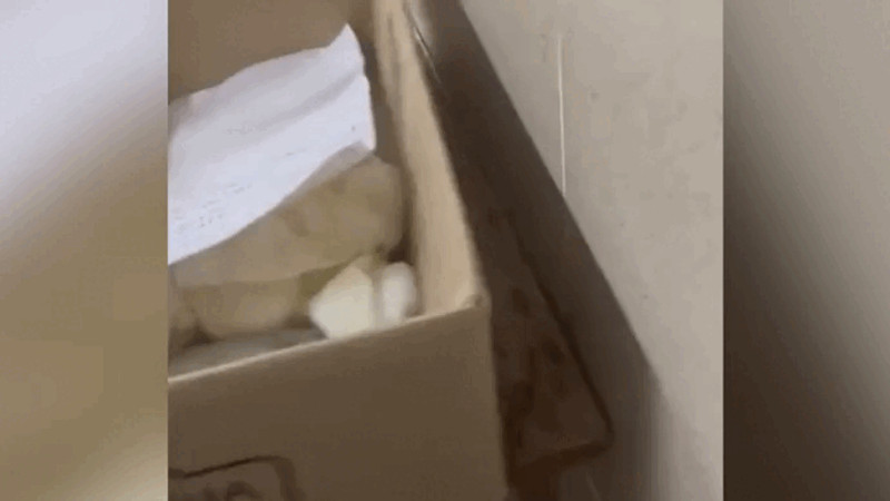 Кадры из видео