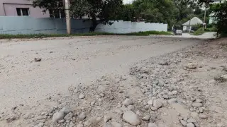 Нет света и газа, погиб скот: последствия непогоды в Жамбылской области