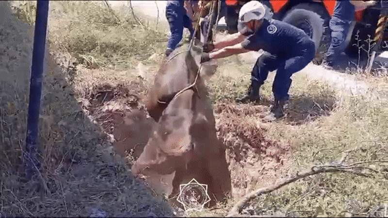 Кадры из видео