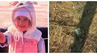 Пропавшую более 4 месяцев назад Айю-Софию из села Куш нашли мертвой