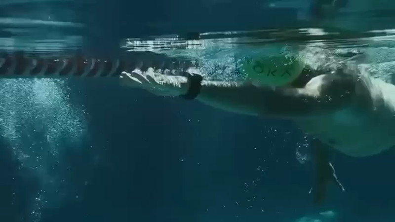 Кадры из видео: instagram/@silkroad.athletes