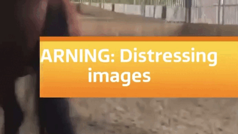 Кадры из видео