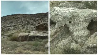 Неизвестное животное засняли на видео в Мангистау