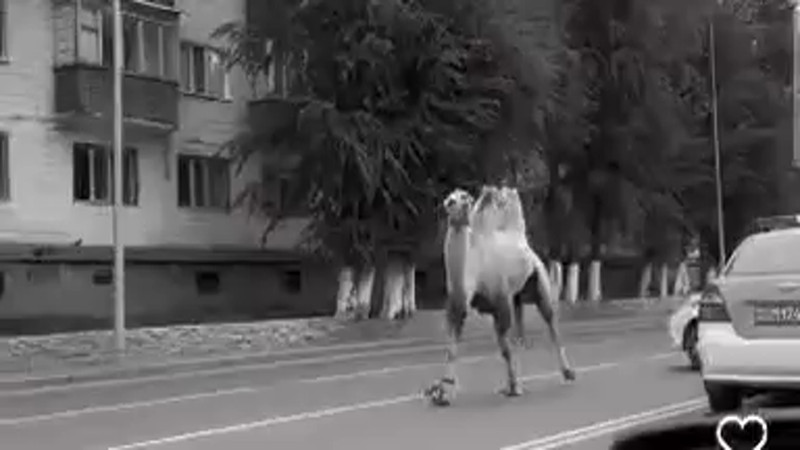 Кадры из видео