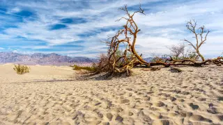 Турист получил сильнейшие ожоги в Долине Смерти