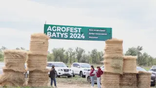 Развитие аграрной отрасли обсудили в рамках фестиваля "Agrofest Batys 2024"