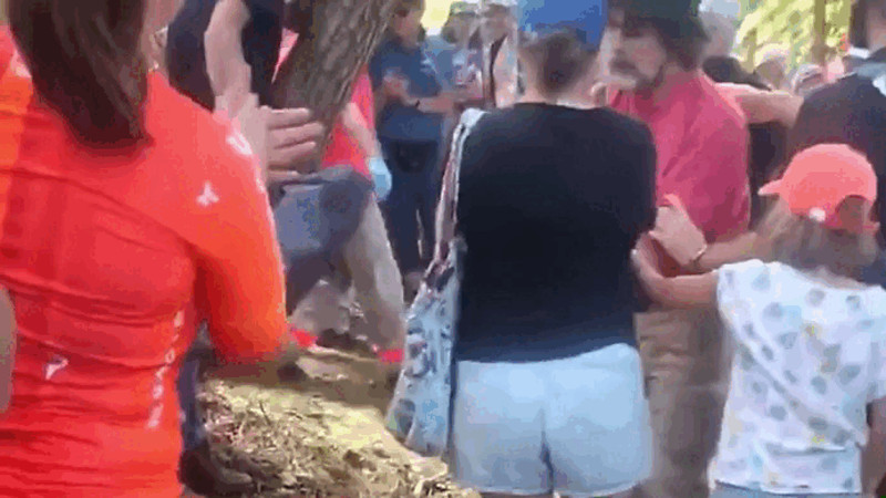 Кадры из видео