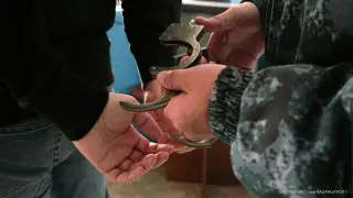 Представлялся сотрудником банка: россиянина задержали на границе Казахстана