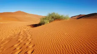 Убил и сложил в чемодан: появились новые подробности по приговору