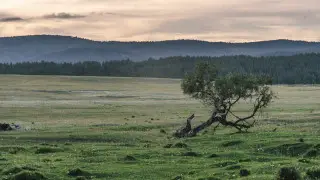 Жара до 41 градуса, грозы и град: погода в Казахстане на вторник, 6 августа