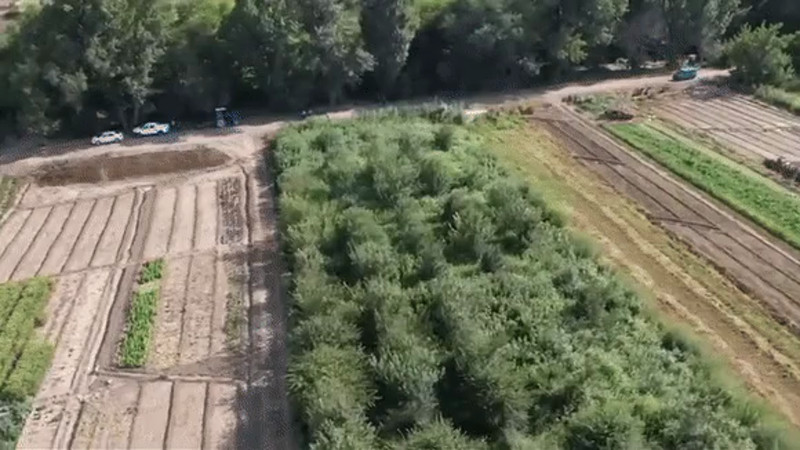 Кадры из видео