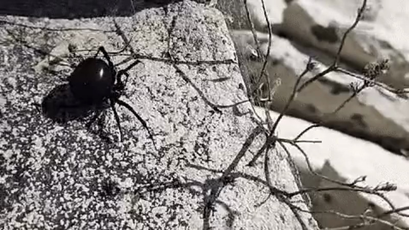 Кадры из видео