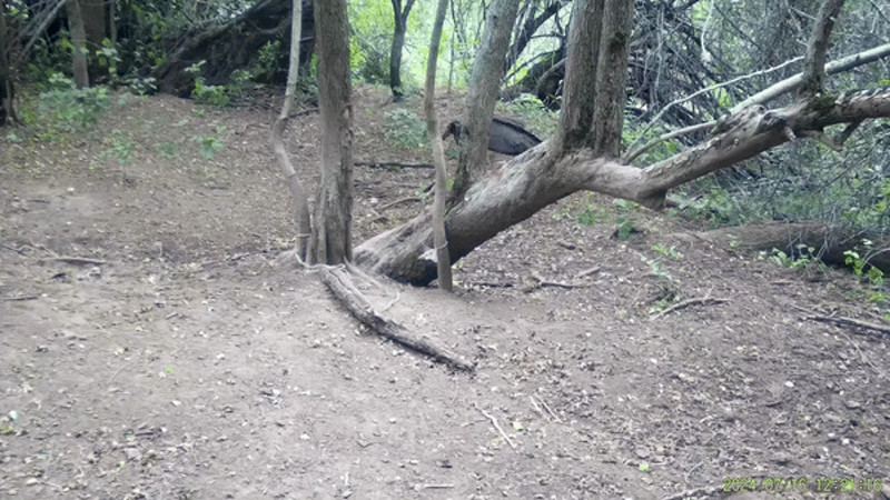 Кадры из видео