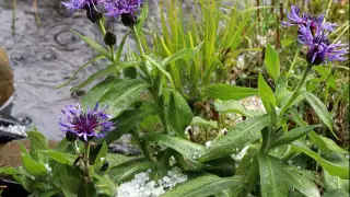 Ливни, град и шквалистый ветер: погода в Казахстане на субботу, 10 августа