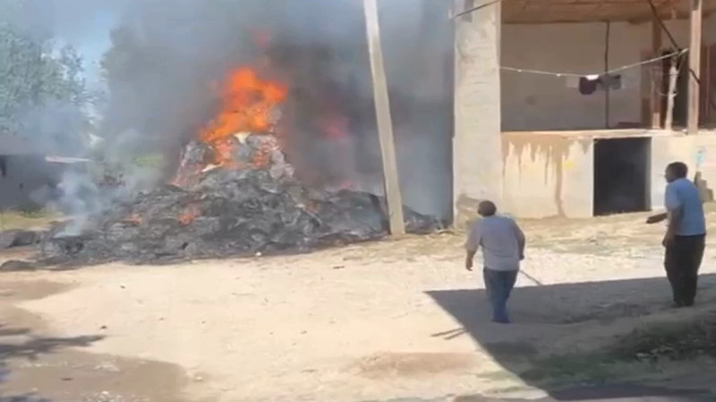 Кадры из видео