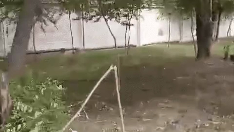 Кадры из видео