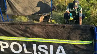 Тело женщины нашли на окраине Усть-Каменогорска