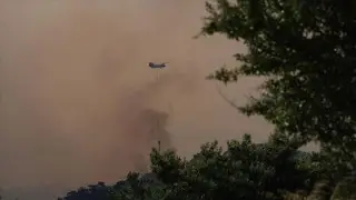 Из-за лесных пожаров в Турции эвакуировали более 3,5 тысячи человек