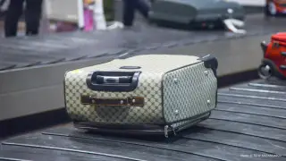 "Не можем получить багаж": пассажиры пожаловались на аэропорт столицы