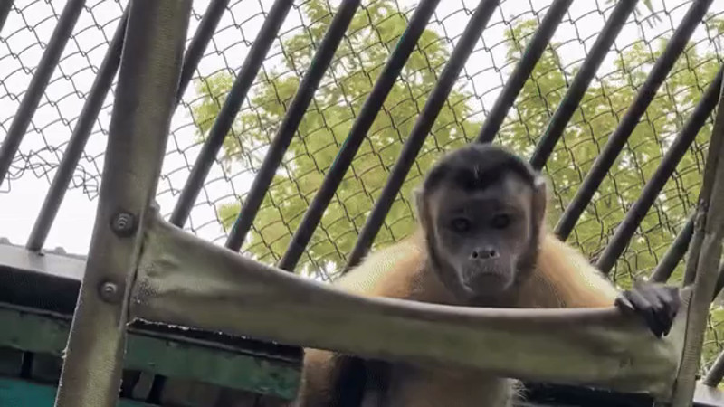 Кадры из видео