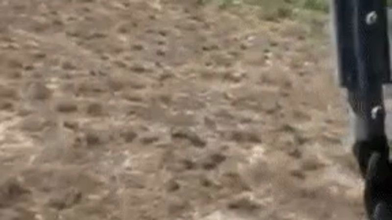 Кадры из видео