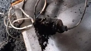 Пожар и кома из-за зарядного устройства: новые подробности