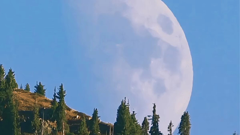 Кадры из видео