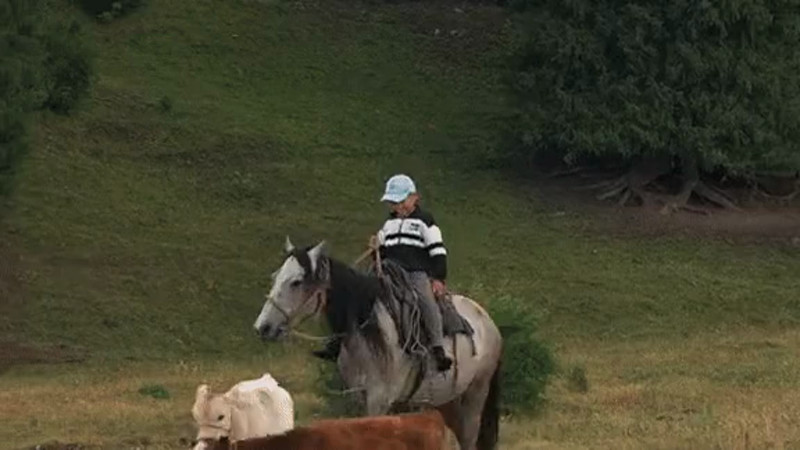 Кадры из видео