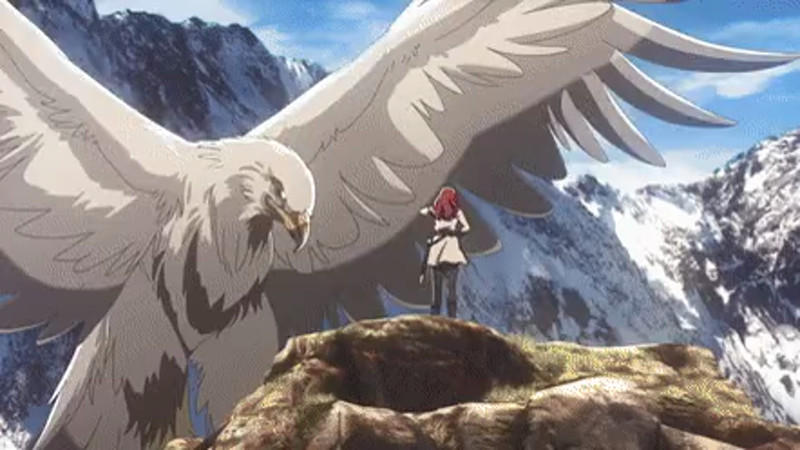 Кадры из видео