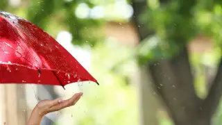 Сохраняются дожди. Прогноз погоды на выходные