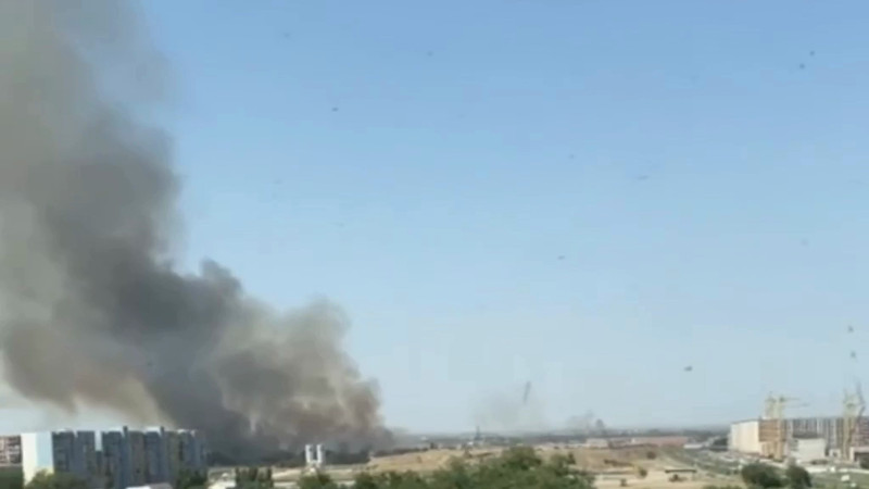 Видео: t.me/almatynews_kaz