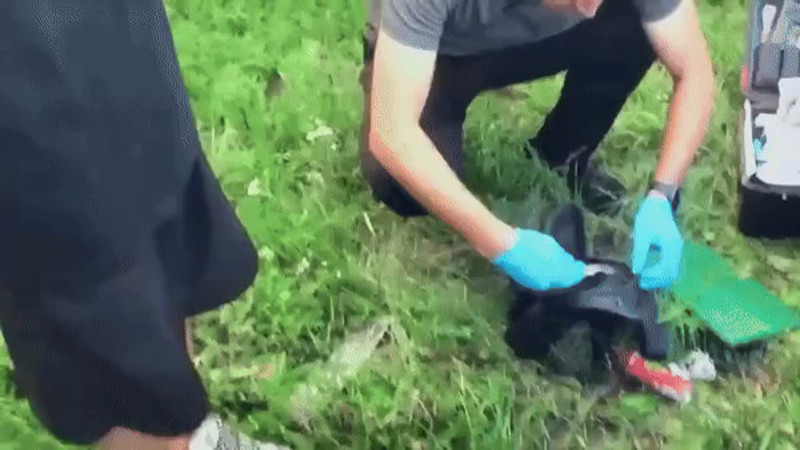 Кадры из видео