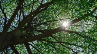 Спасатели помогли ребенку в экстренной ситуации на востоке Казахстана