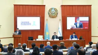 Amanat проведет кампанию в поддержку АЭС