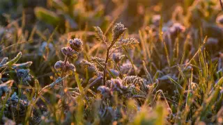 Грозовые дожди, град и заморозки: какой будет погода в первый день осени