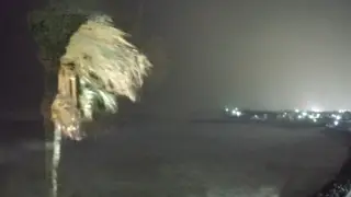 “Держись, Ясси“: японцы 12 часов наблюдали за “сражением“ пальмы с ураганом