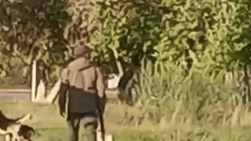 Кадры из видео