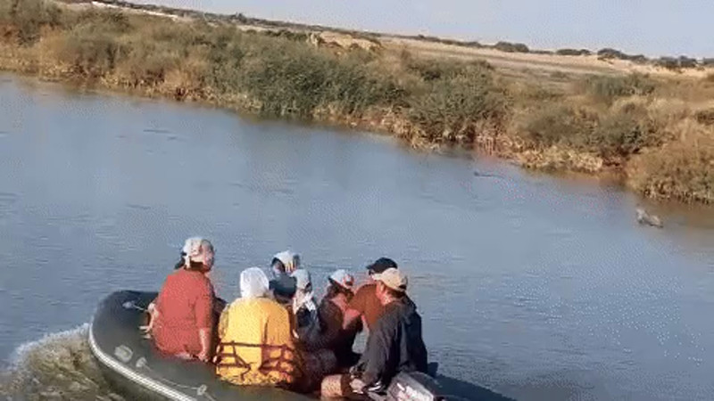 Кадры из видео