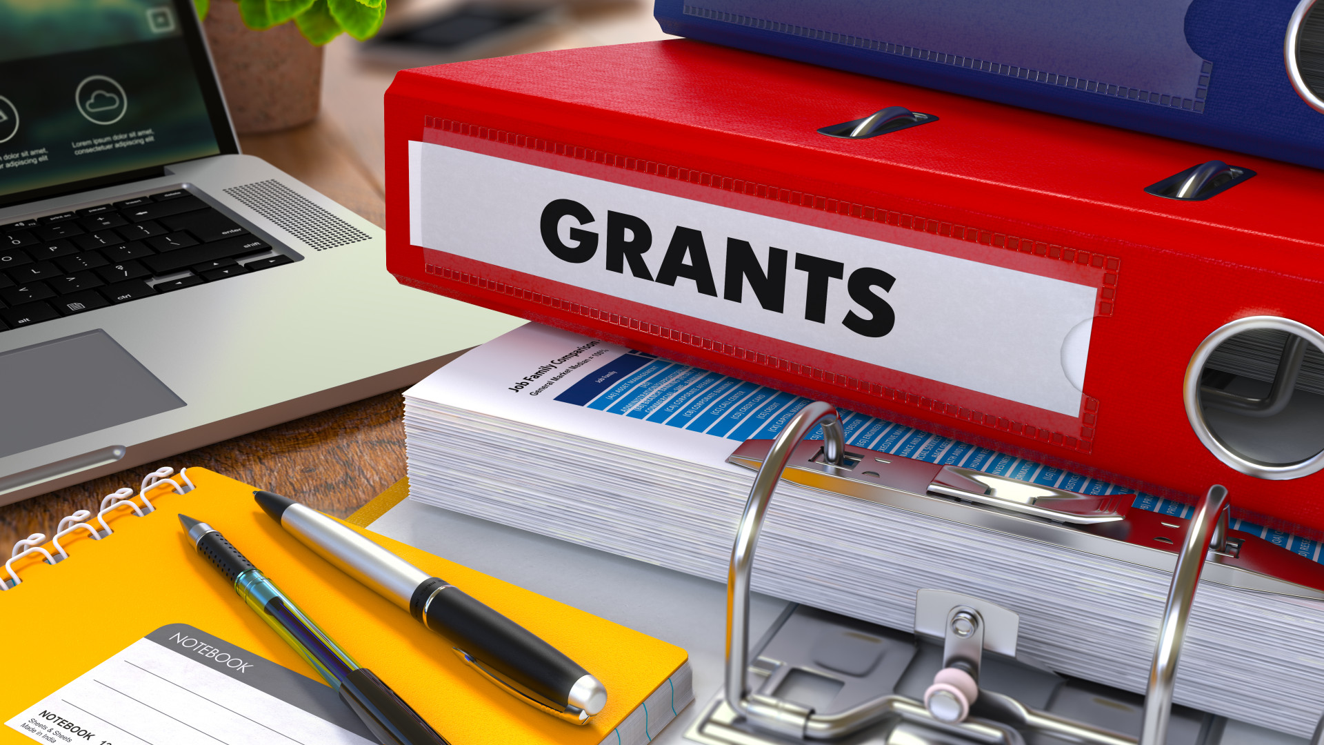 “Мы ничего незаконного не делали“ - глава Миннауки о распределении грантов