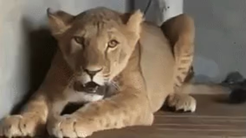 Кадры из видео