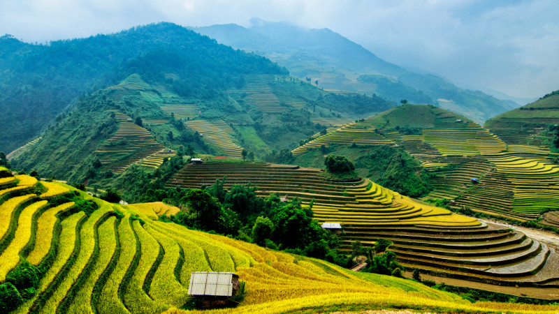 Фото:depositphotos.com