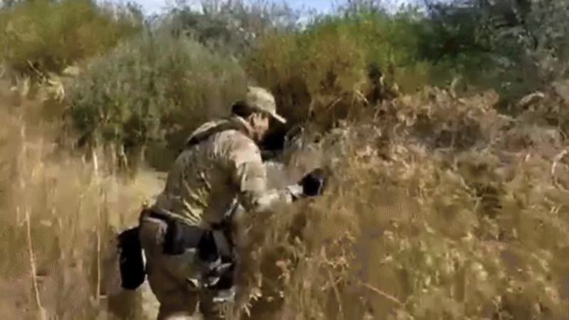 Кадры из видео